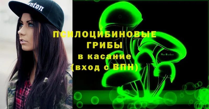 Псилоцибиновые грибы Cubensis  Данков 